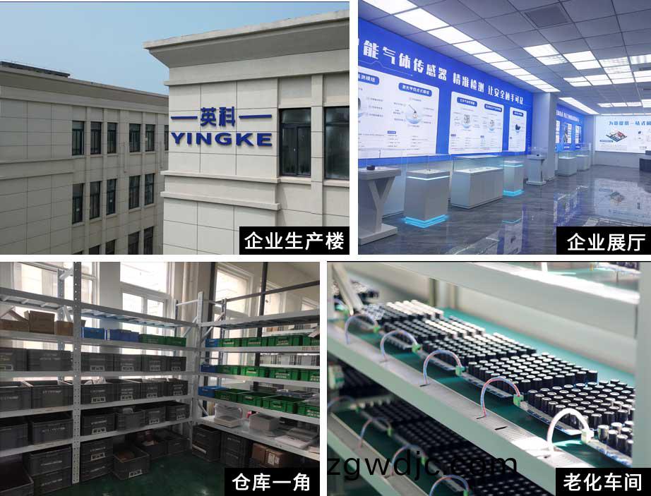 公司槩述